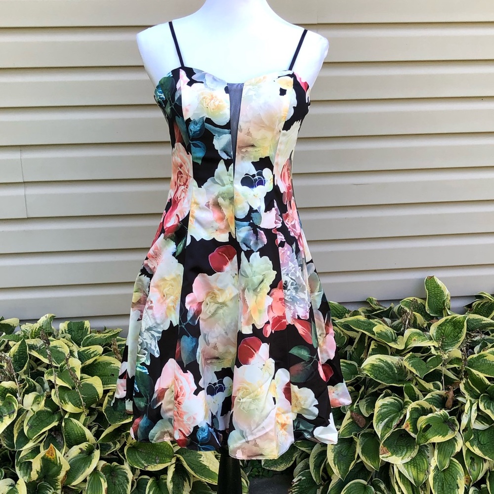 NWT Cachet Floral Print Fit and Flare Mini Dress